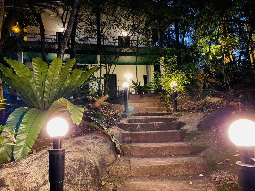 锡吉里亚Green House Resort的建筑前有灯光的楼梯