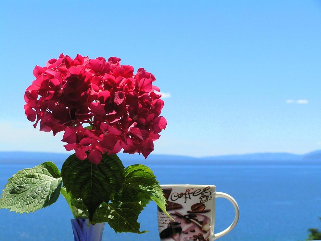奥帕提亚Guest House Lifestyle Holiday的花瓶,花瓶,咖啡杯