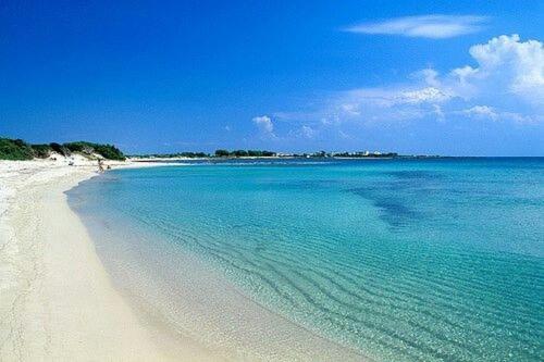 阿利米尼SERRA ALIMINI 2的一片清澈 ⁇ 蓝的海水和白色沙滩
