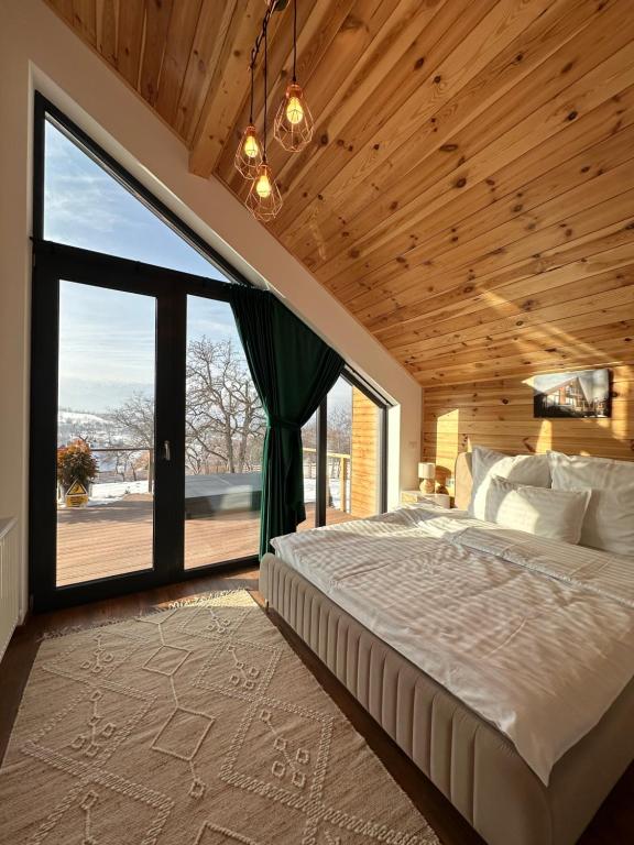 SohodolZenit Chalet Sohodol-Bran的一间卧室设有一张大床和一个大窗户