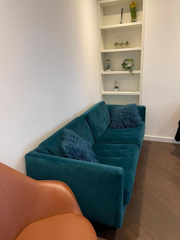 伦敦Laurel Point的客厅设有蓝色的沙发和架子