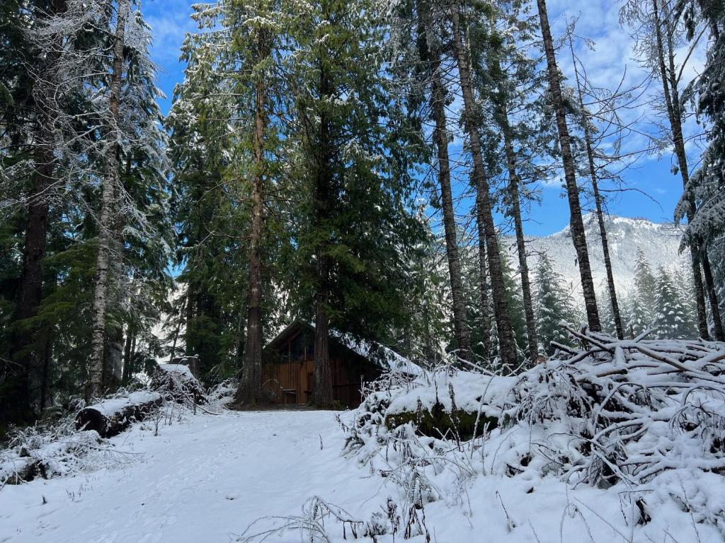 冬天的Chalet at Rainier Lodge (0.4 miles from the entrance)