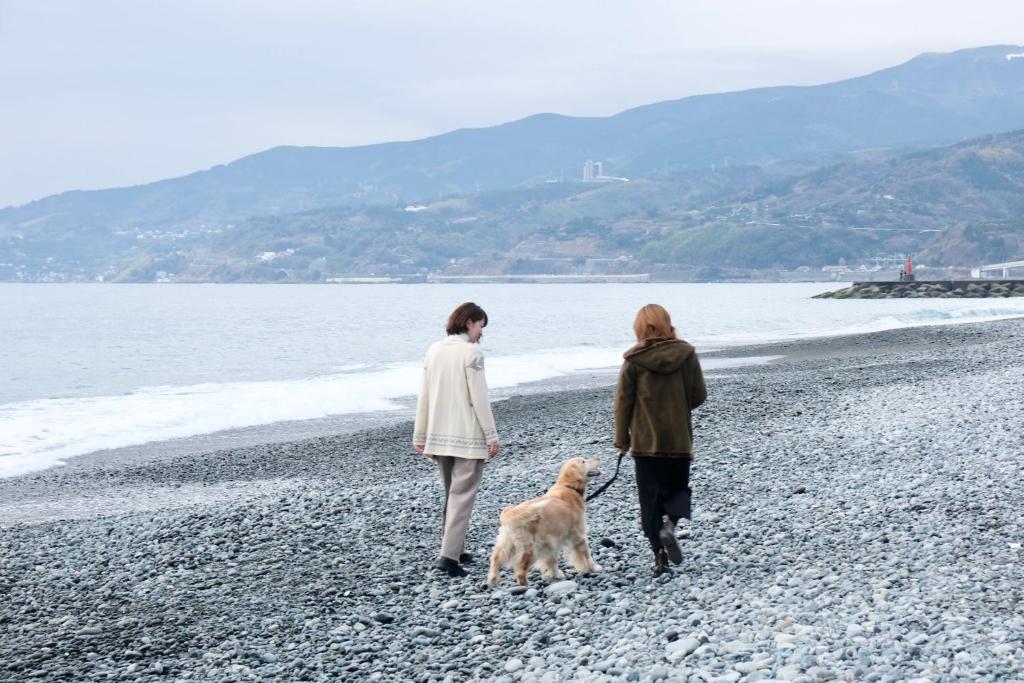小田原市いぬと海辺的两个女人在岩石海滩上走狗
