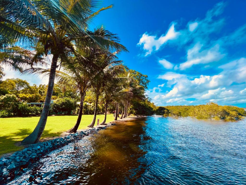 彩虹海滩Tranquil holiday home on the water’s edge.的海边一排棕榈树