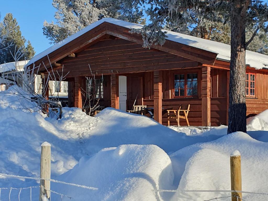 MysusæterBjørgebu Camping AS的雪地小木屋,带栅栏