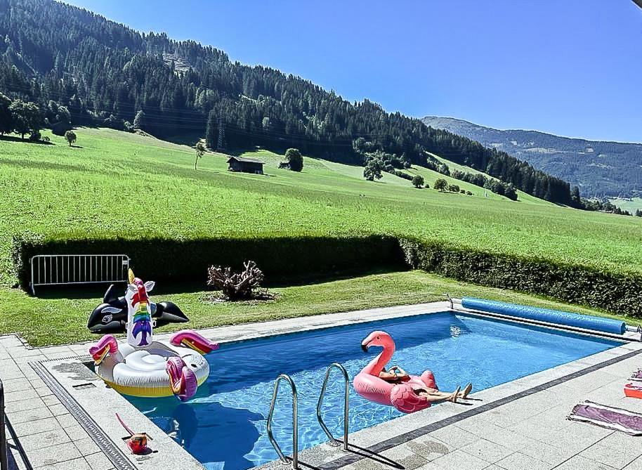 韦伯格B&B at Kreativhaus Tirol的田野中带天鹅和火烈鸟的游泳池