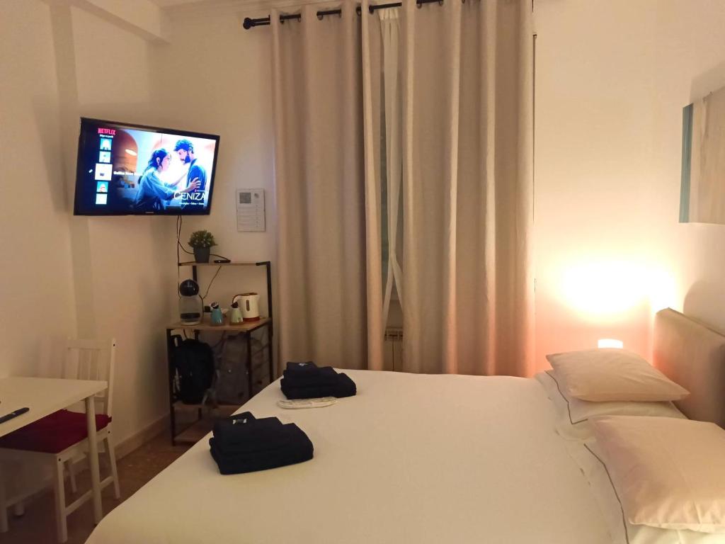 罗马梵蒂冈罗斯安蒂奇住宿加早餐旅馆的配有一张床和一台平面电视的酒店客房