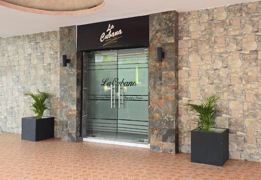 科隆La Cubana Hotel & Suites的前面有两株盆栽植物的商店