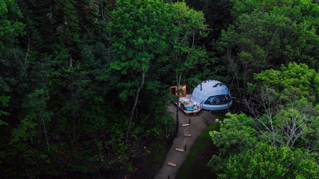 圣弗朗索瓦小河Dômes Charlevoix的森林中两辆汽车的空中景观