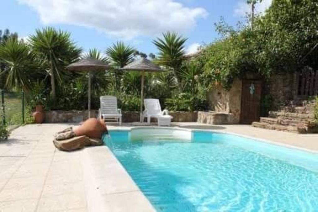 CurvatosSerra do Caldeirao Villa with Pool的游泳池旁边躺着一个男人