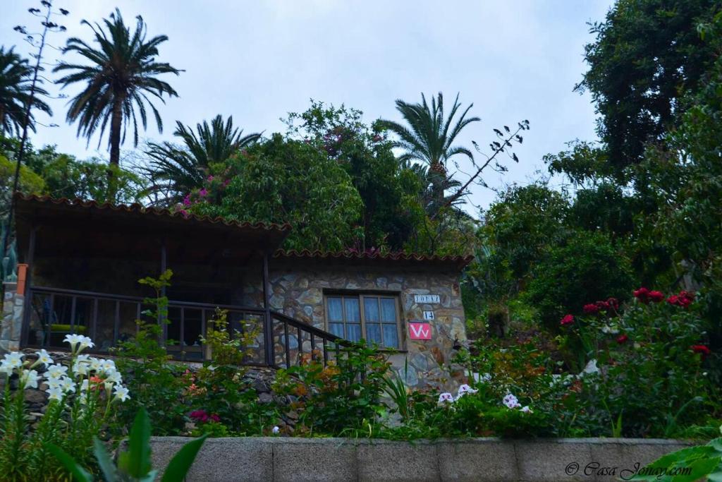 埃尔米瓜One bedroom chalet with terrace and wifi at Hermigua 3 km away from the beach的一座花卉和植物的小石头房子