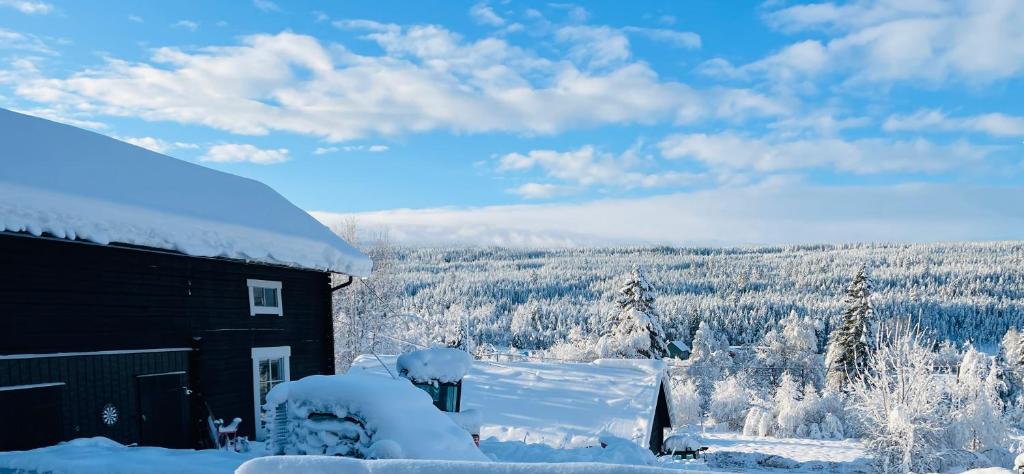 萨伦Lillstugan Sälen by的享有森林景致的雪盖小屋
