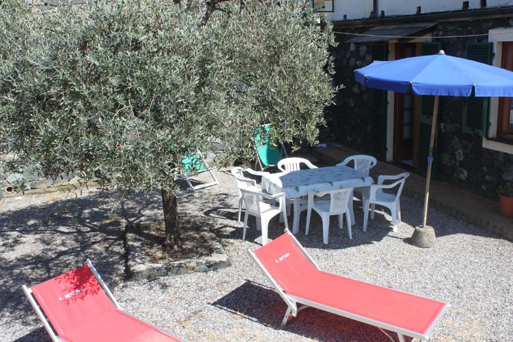 莱万托鲁里佛度假屋的庭院配有桌椅和遮阳伞。
