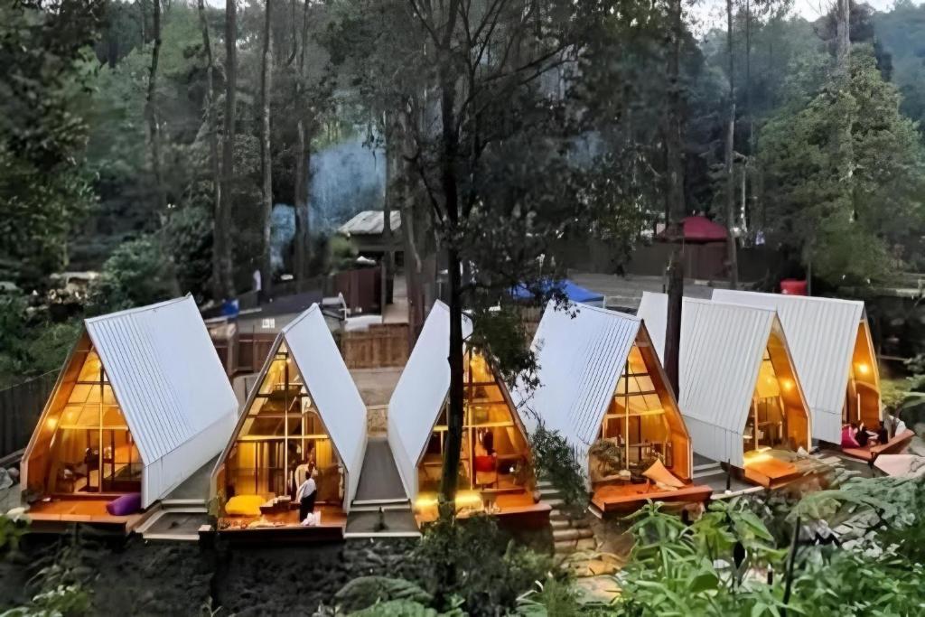 PalayanganLuxury cabin and cafe hutan pinus rahong的一群人住在森林里