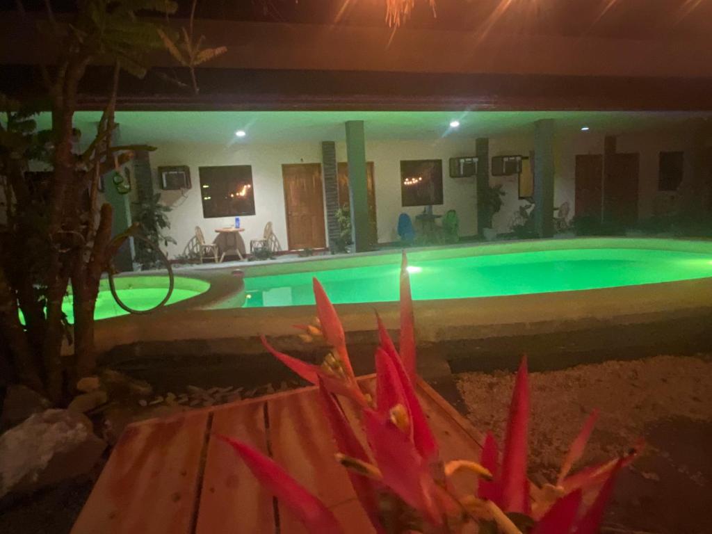 公主港La casa d aitor的夜间在房子里的一个游泳池