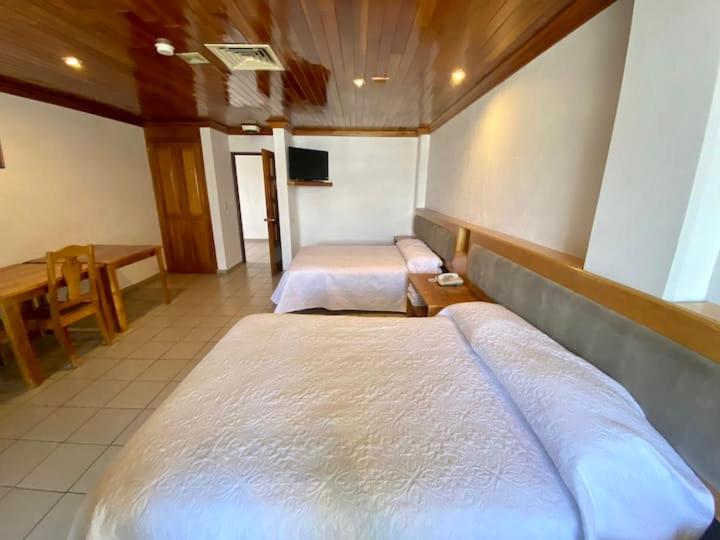 阿瓜斯卡连特斯GARDEN SUITES的客房设有两张床、一张桌子和一台电视机。