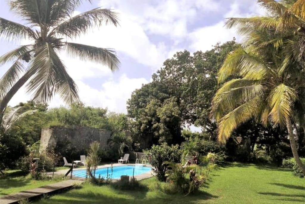 圣安尼Appartement - Résidence piscine La Villa Bèl的棕榈树庭院内的游泳池