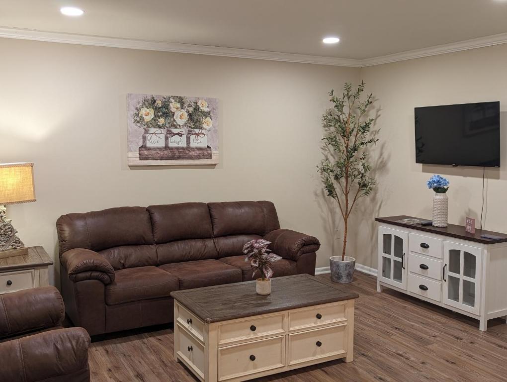 巴吞鲁日The Comfort Zone的带沙发和电视的客厅