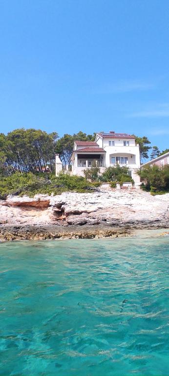 尼亚卢卡Villa Putto的坐在海滩上水边的房子