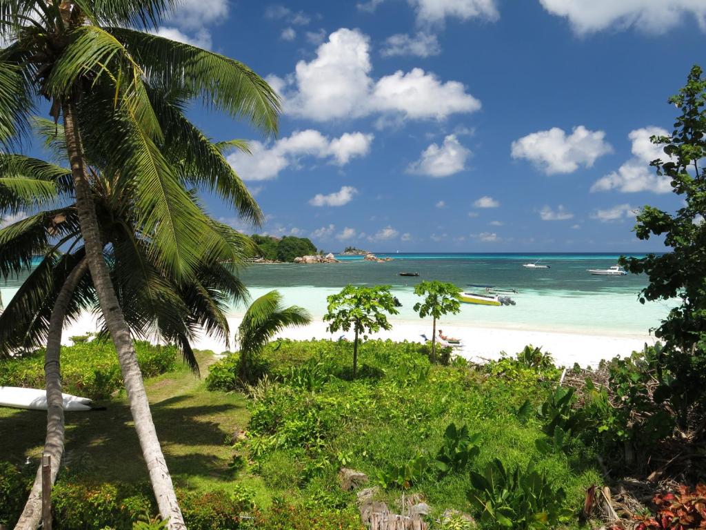 普拉兰罗斯玛丽宾馆的享有棕榈树海滩的美景
