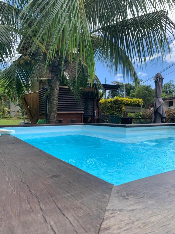DucosCabane des Zamoureux的棕榈树屋前的游泳池