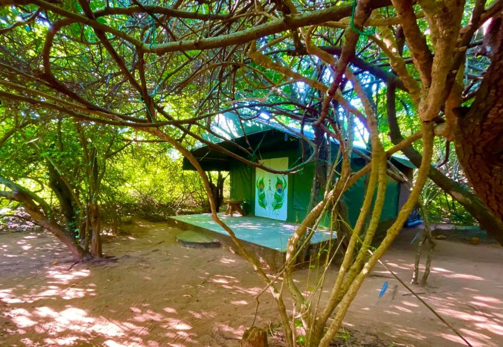雅拉Podi Hoona Luxury Bush Camp的树木中间的绿色建筑