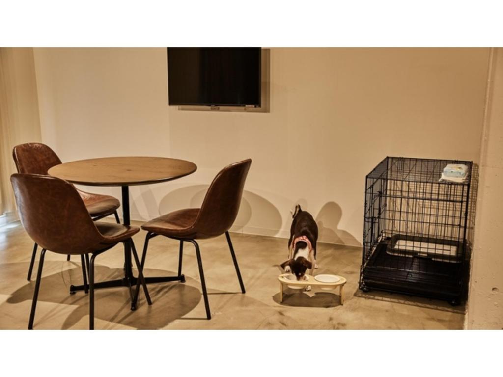 京都River Side Arashiyama - Vacation STAY 86277v的坐在桌子和椅子旁边的房间里,狗