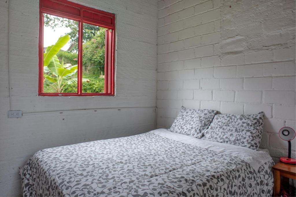马尼萨莱斯Hacienda Venecia Hostel的白色客房的一张床位,设有窗户