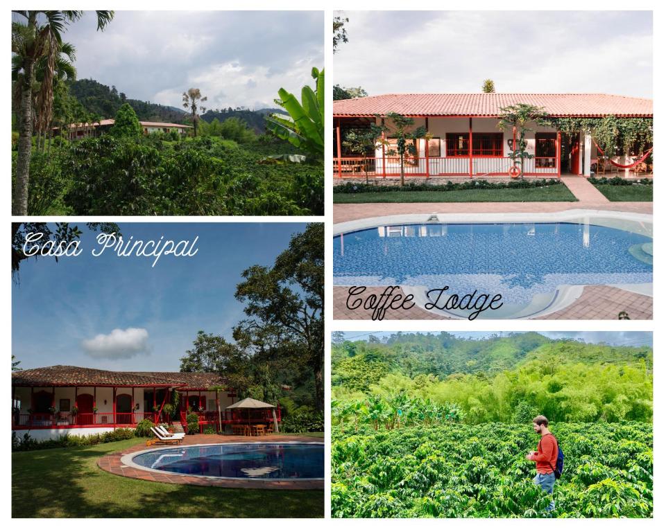马尼萨莱斯Hacienda Venecia Coffee Farm Hotel的房屋和游泳池图片的拼贴