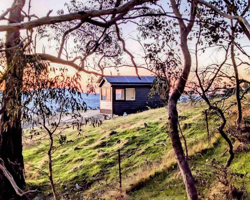 MetcalfeKyneton Tiny House - Tiny Stays的草木丛顶上的房屋