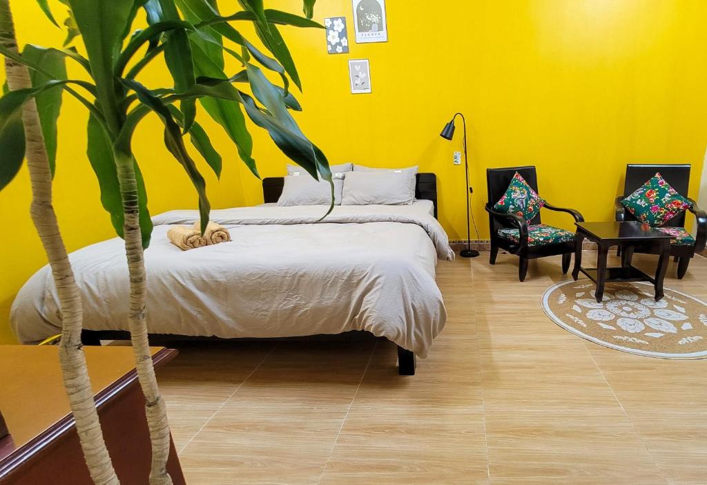 吉婆岛Tiny House Cat Ba的黄色间,带两张床,种植了植物