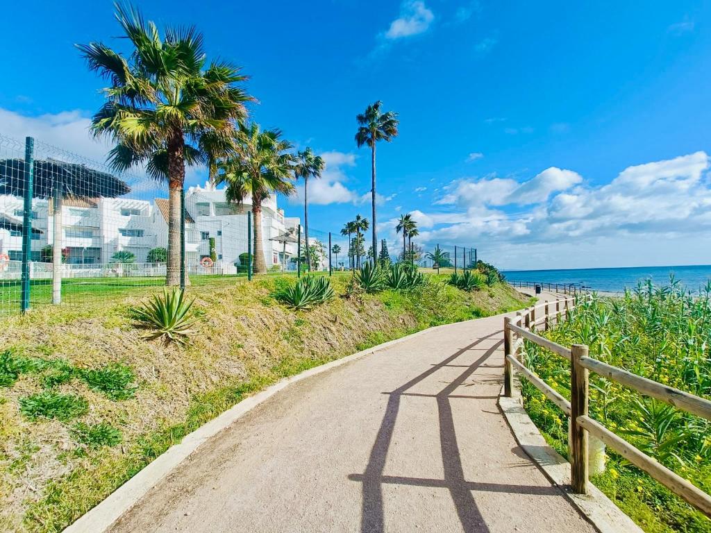 卡萨雷斯LUXURY Casares del Mar D BJ2的棕榈树海滩旁的一条小径
