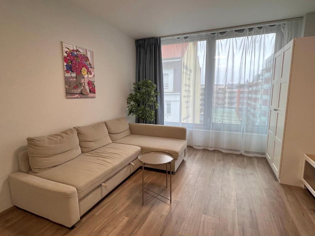布拉格Comfort flat with great location的带沙发和窗户的客厅