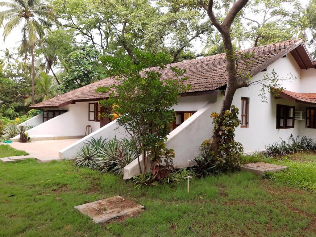 纳加奥恩Banyan House - luxurious 4 bedroom villa on one acre, near the beach的前面有一棵树的白色房子
