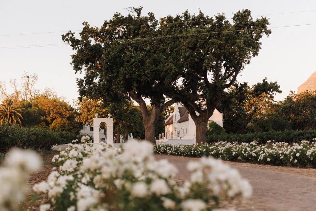 帕尔Adara Palmiet Valley Luxurious Boutique Farm Hotel的白色的教堂,有树和白色的花