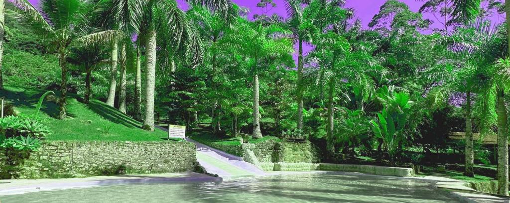 萨纳Pousada J Country的棕榈树公园里的水池