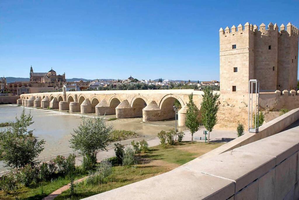 科尔多瓦Calahorra Experience的一座桥,在城堡旁的河上