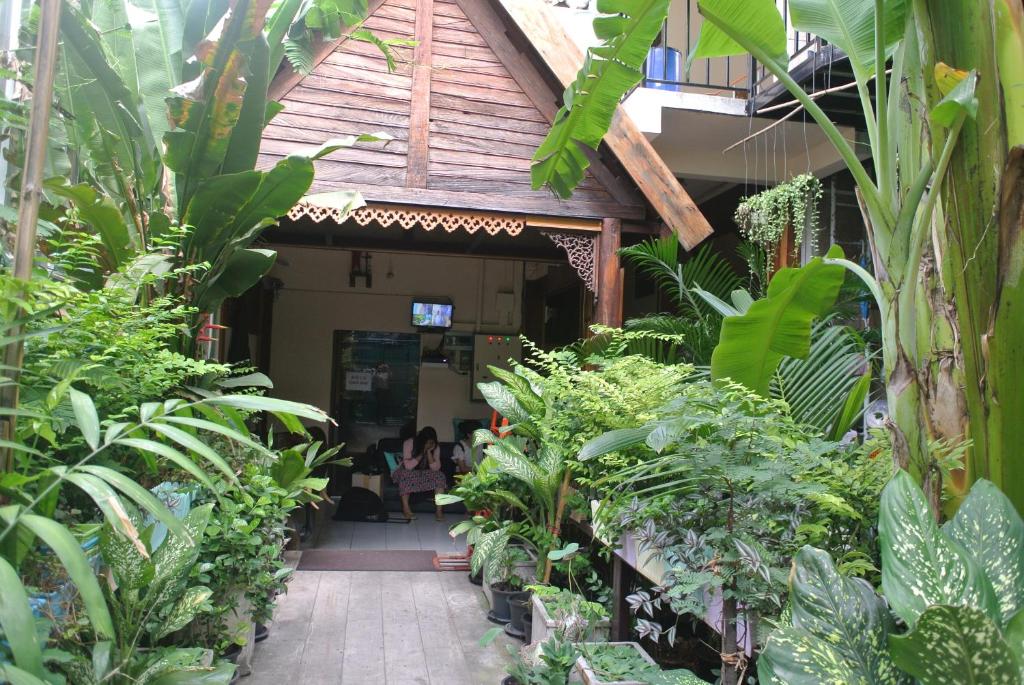 曼谷生态之家民宿的一座有大量植物的建筑