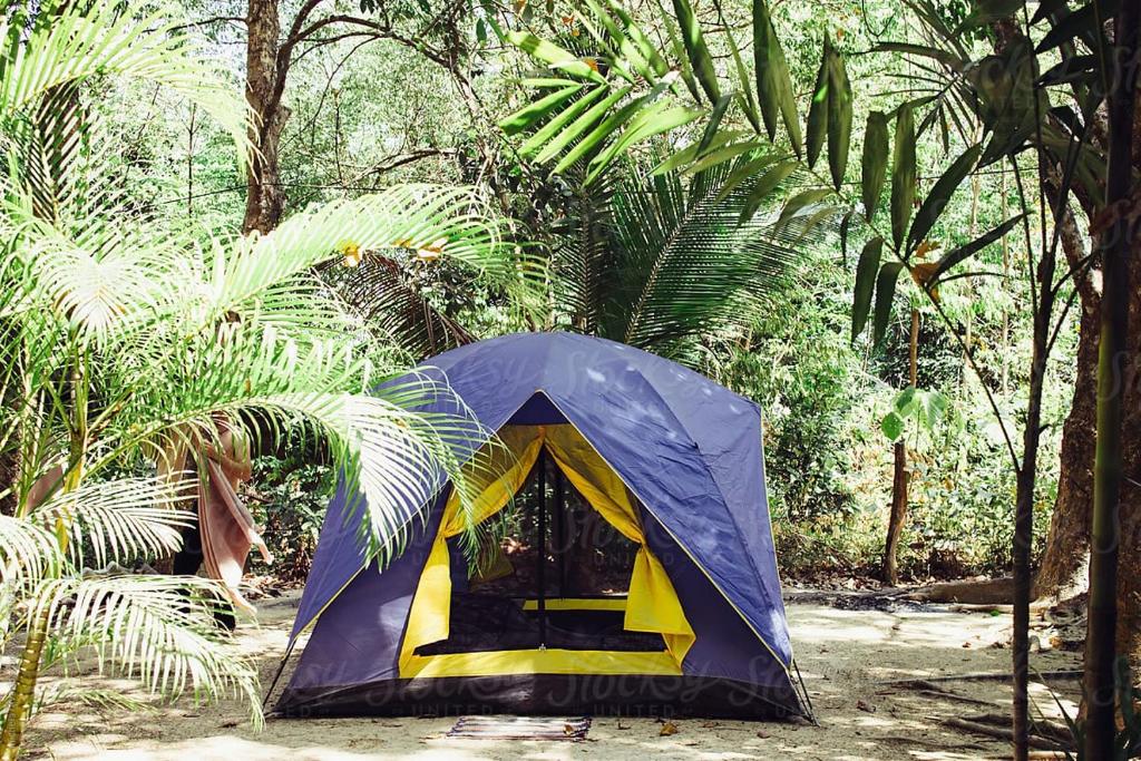 BedahuluPutu Ubud Glamping Camping的森林中间的蓝色和黄色帐篷
