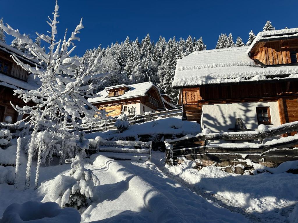 多内尔斯巴赫瓦尔德波道夫里斯诺度假屋的雪覆盖的小木屋,有雪覆盖的树
