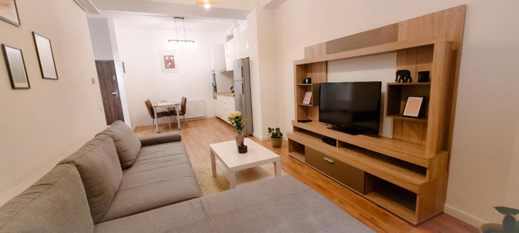比斯特里察Apartament Calea Moldovei Residence - minibar si parcare GRATIS的带沙发和平面电视的客厅