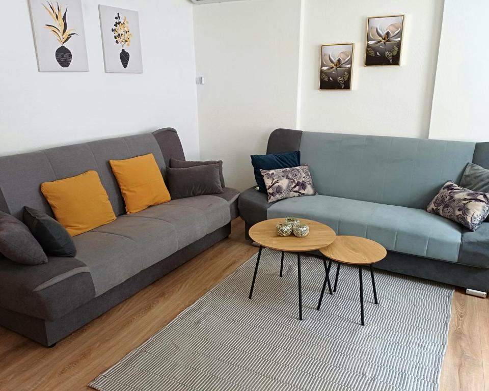 亚伊采Rose Apartmans的客厅配有沙发和桌子