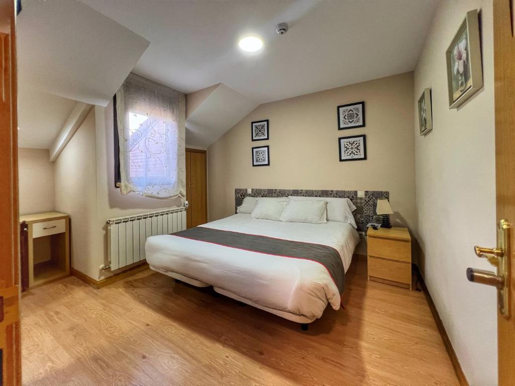阿维拉Hostal la Colmena的一间卧室设有一张大床和一个窗户。