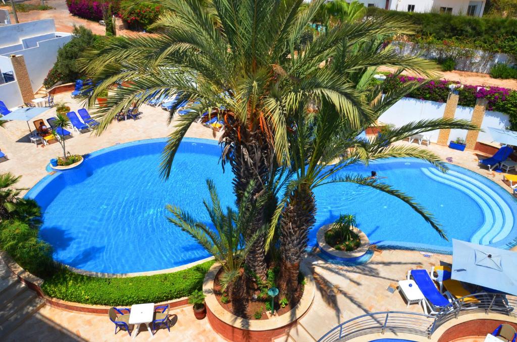 阿加迪尔金沙滩公寓酒店的享有棕榈树大型游泳池的顶部景致