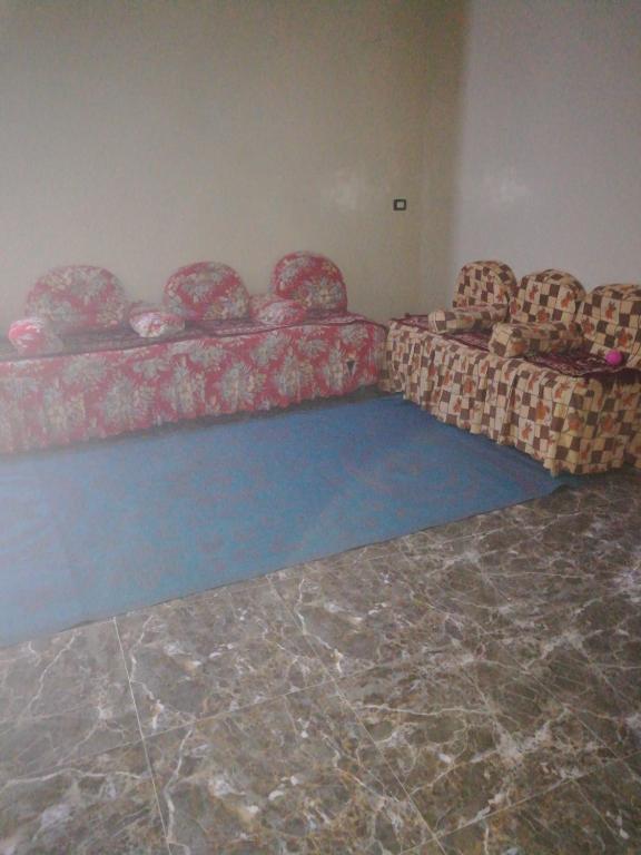 ‘Ezbet Abu ḤabashiSmall apartment in Egypt luxor West Bank without Home Home furnishings的一间客厅,客厅内配有两张沙发