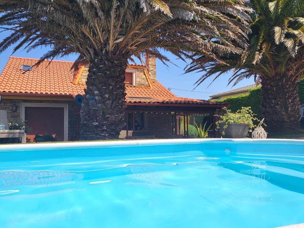 拉科鲁尼亚El rincón de Mónica的棕榈树屋前的游泳池