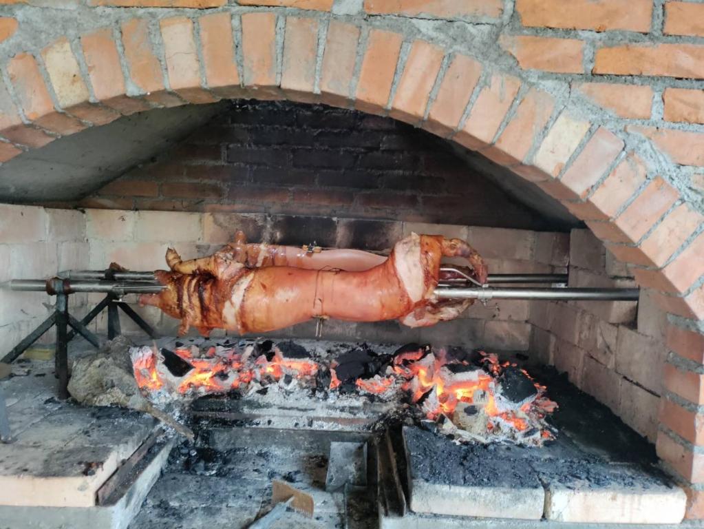 LjubovijaVikendica Dragica 1的砖炉中烧肉