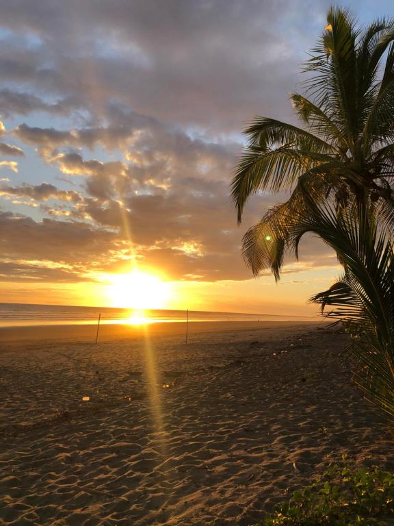 拉斯拉哈斯Casa pacifico的棕榈树海滩上的日落