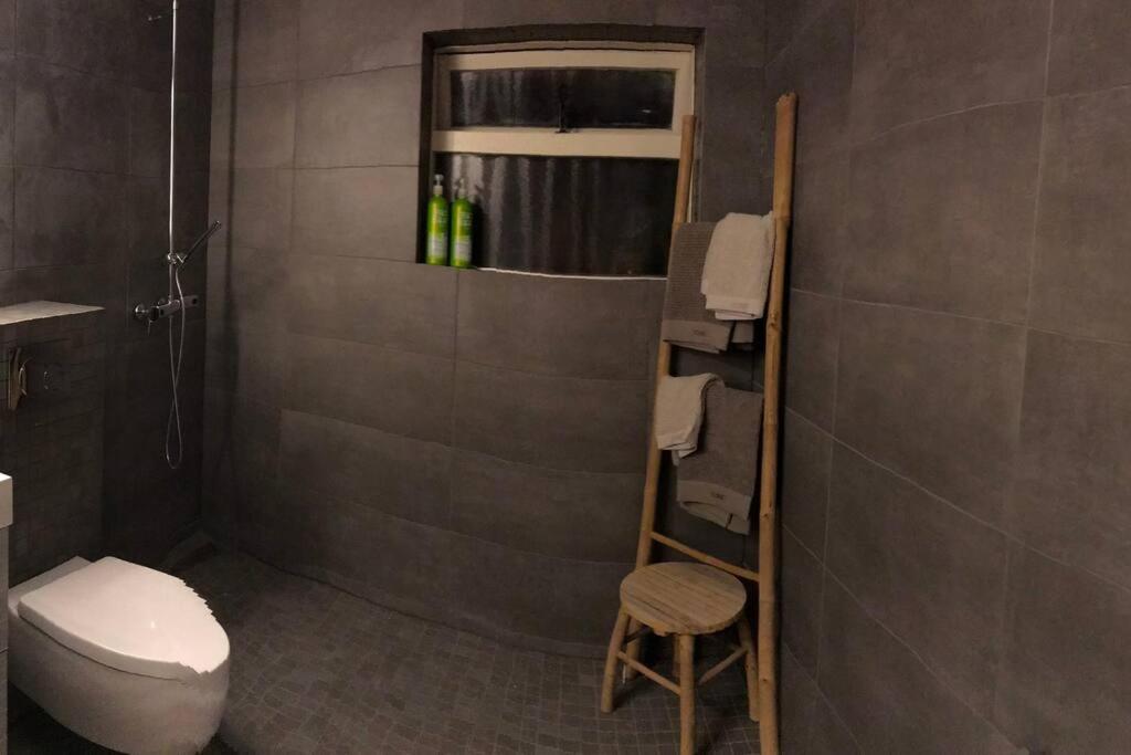 雷克雅未克COZY APPARTMENT Free parking的一间带卫生间、淋浴和凳子的浴室