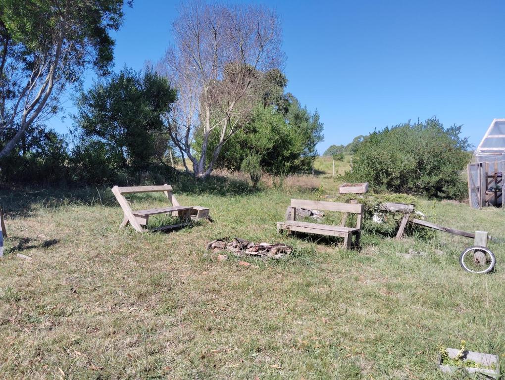 拉帕洛马habitación en casa de campo的两个长椅坐在草地上